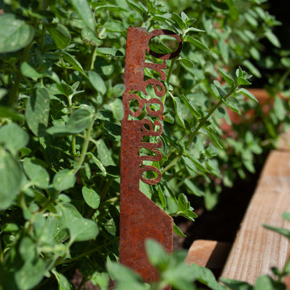 Pflanzenstecker „Oregano“ | Wetterfester Kräuterstecker für Garten und Beet