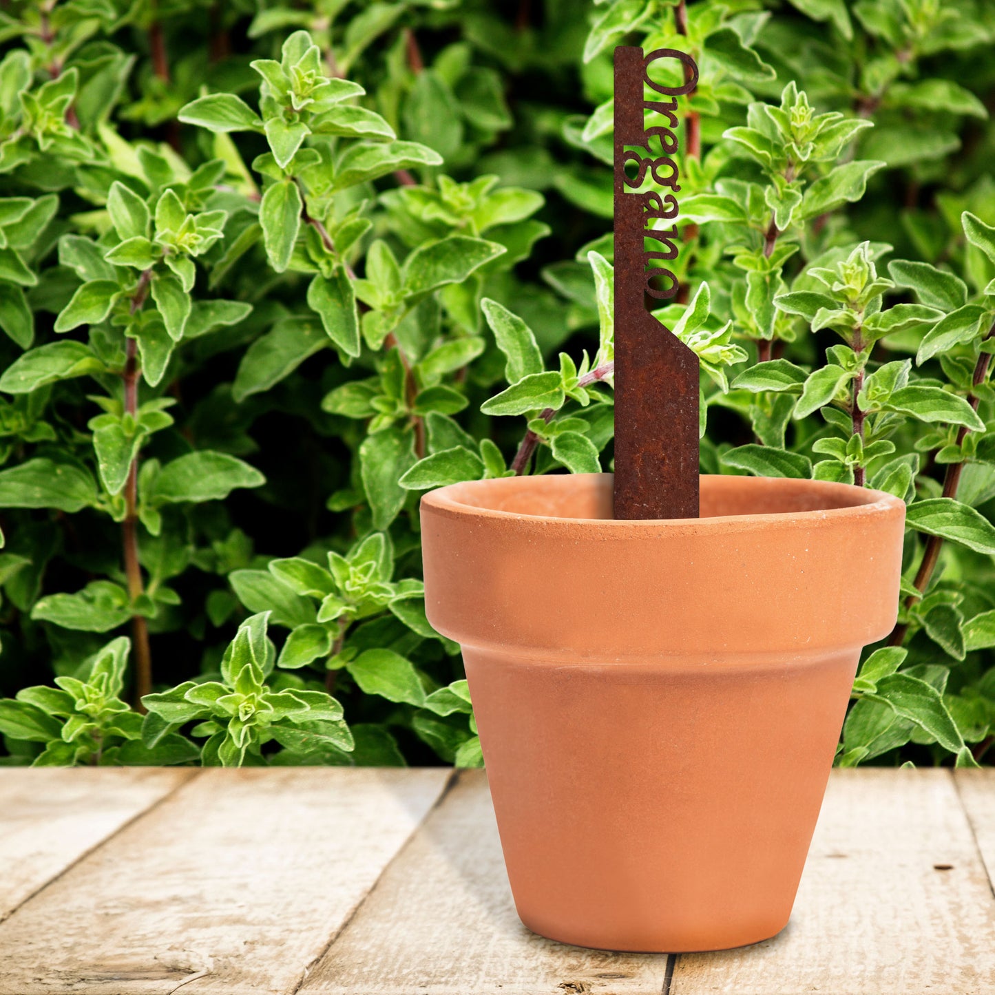 Pflanzenstecker „Oregano“ | Wetterfester Kräuterstecker für Garten und Beet