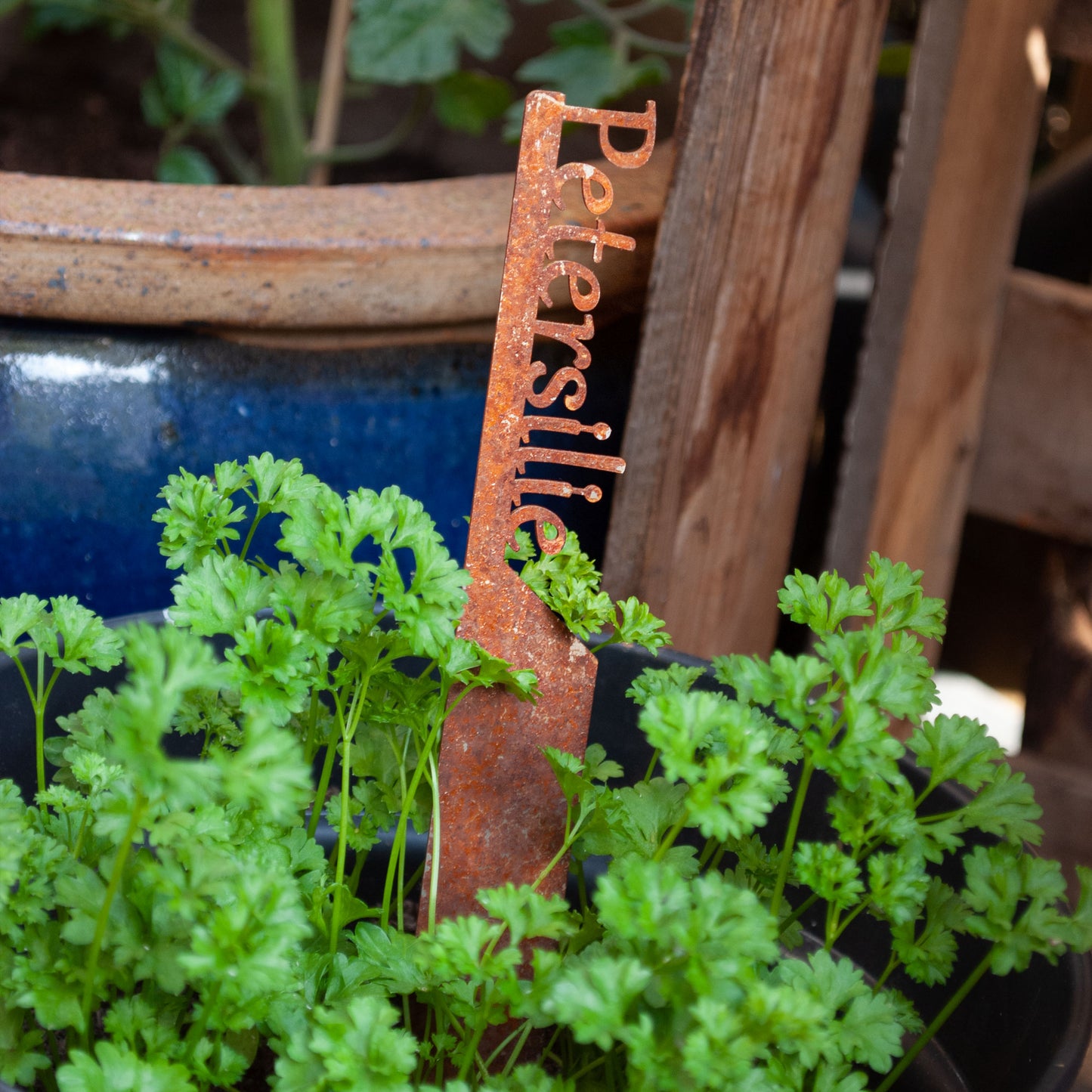 Pflanzenstecker „Petersilie“ | Wetterfester Kräuterstecker für Garten und Beet