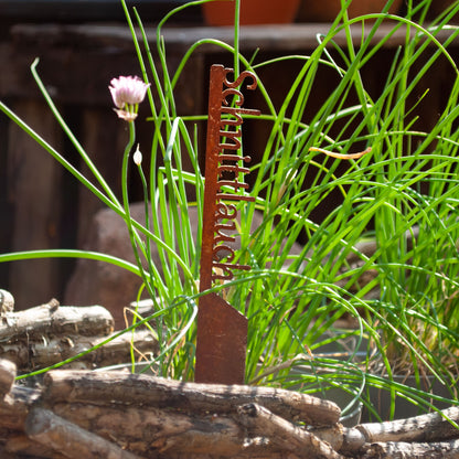 Pflanzenstecker „Schnittlauch“ | Wetterfester Kräuterstecker für Garten und Beet