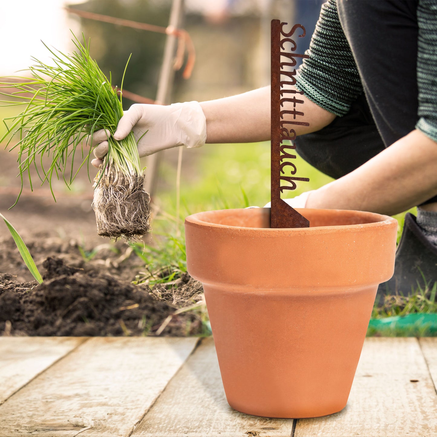 Pflanzenstecker „Schnittlauch“ | Wetterfester Kräuterstecker für Garten und Beet