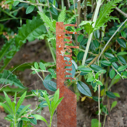 Pflanzenstecker „Unkraut“ | Wetterfester Gemüsestecker für Garten und Beet
