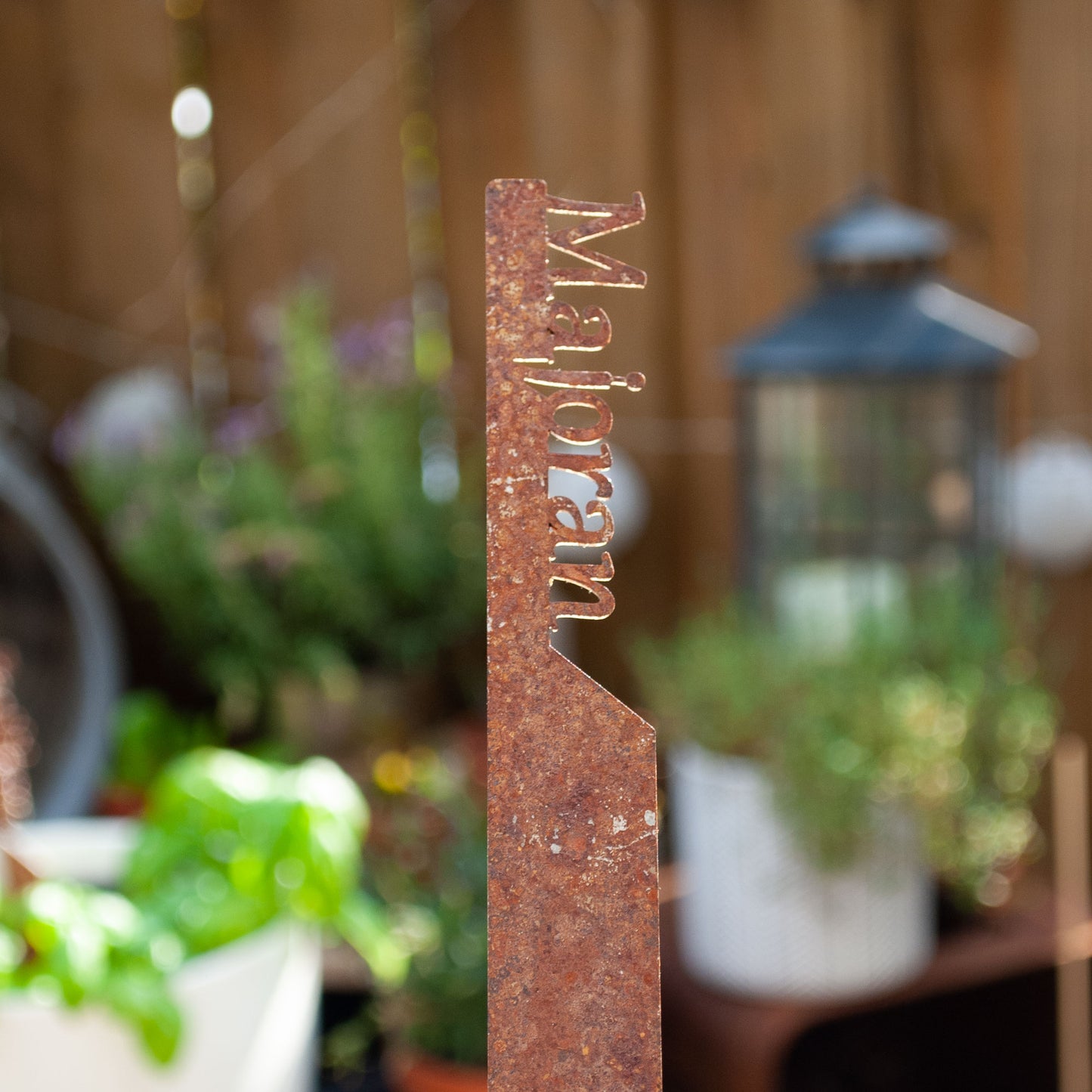 Plant marker "Thyme" | Weatherproof herb marker for garden and flowerbed