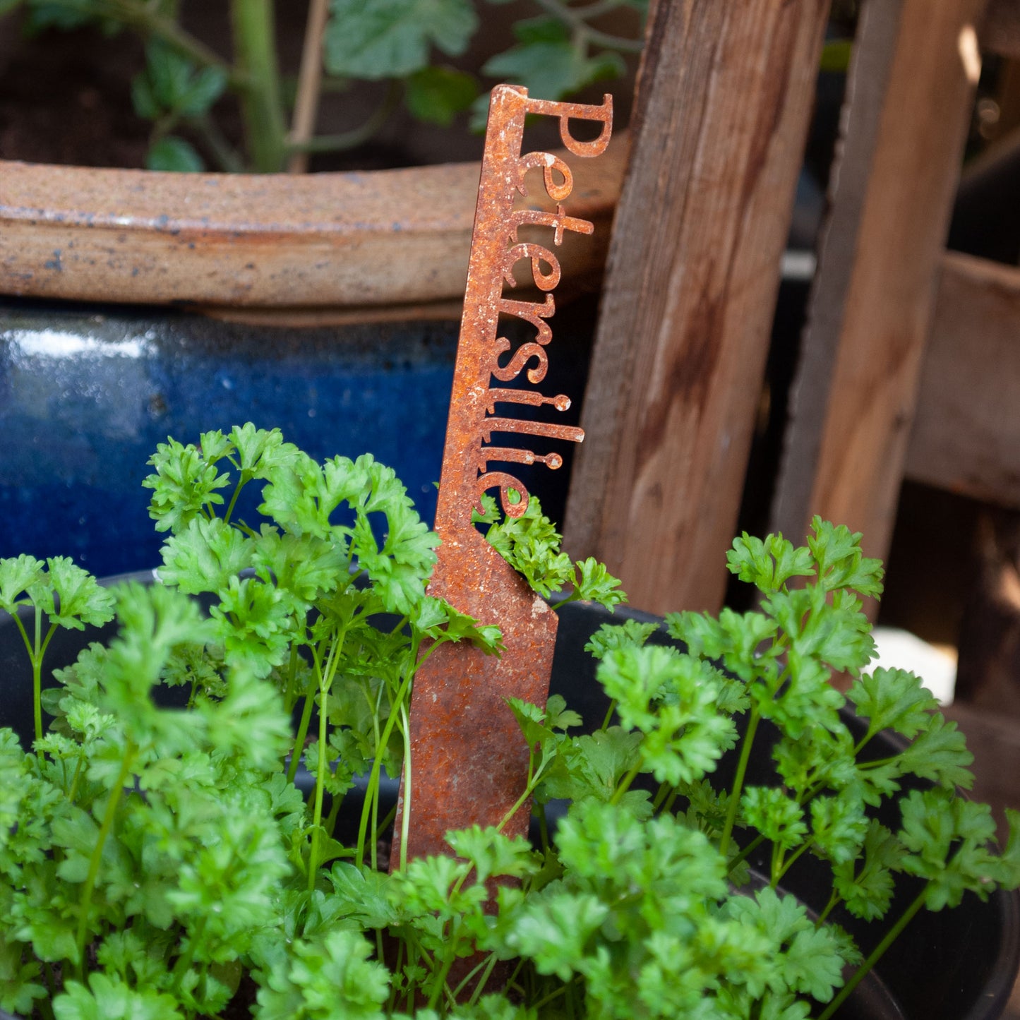 Plant marker "Thyme" | Weatherproof herb marker for garden and flowerbed