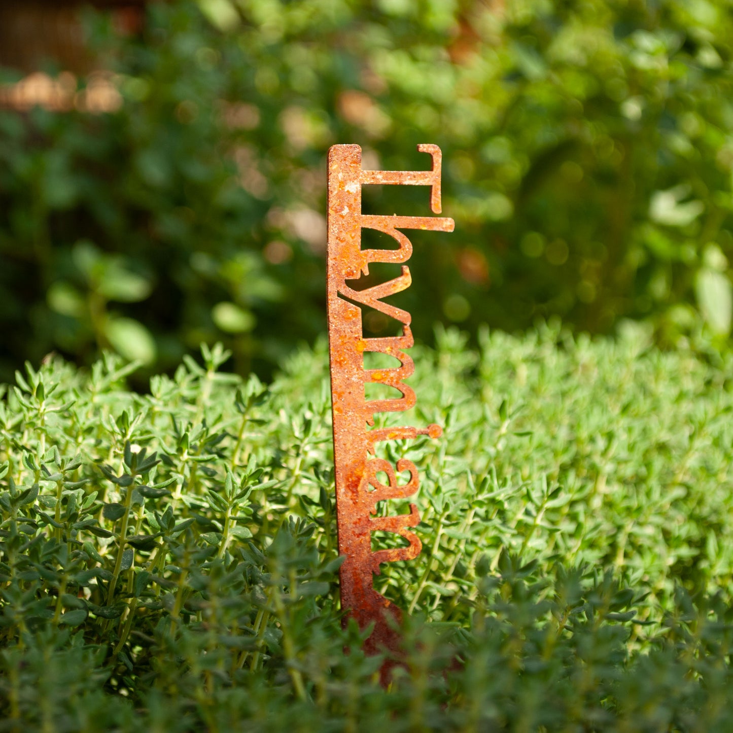 Plant marker "Lovage" | Weatherproof herb marker for garden and flowerbed