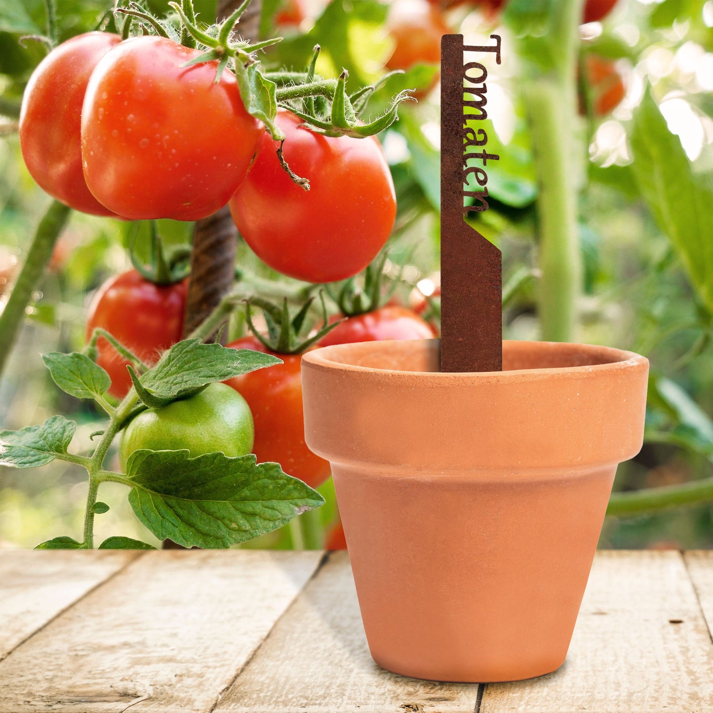 Pflanzenstecker „Tomaten“ | Wetterfester Gemüsestecker für Garten und Beet