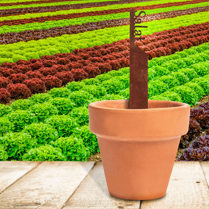 Pflanzenstecker „Salat“ | Wetterfester Gemüsestecker für Garten und Beet