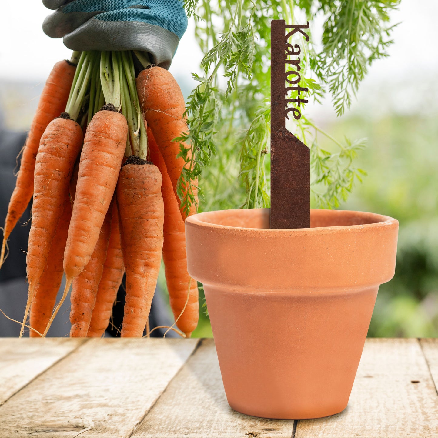 Pflanzenstecker „Karotte“ | Wetterfester Gemüsestecker für Garten und Beet