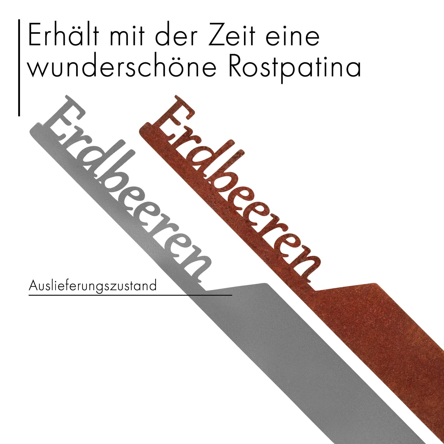 Pflanzenstecker „Erdbeere“ | Wetterfester Obststecker für Garten und Beet