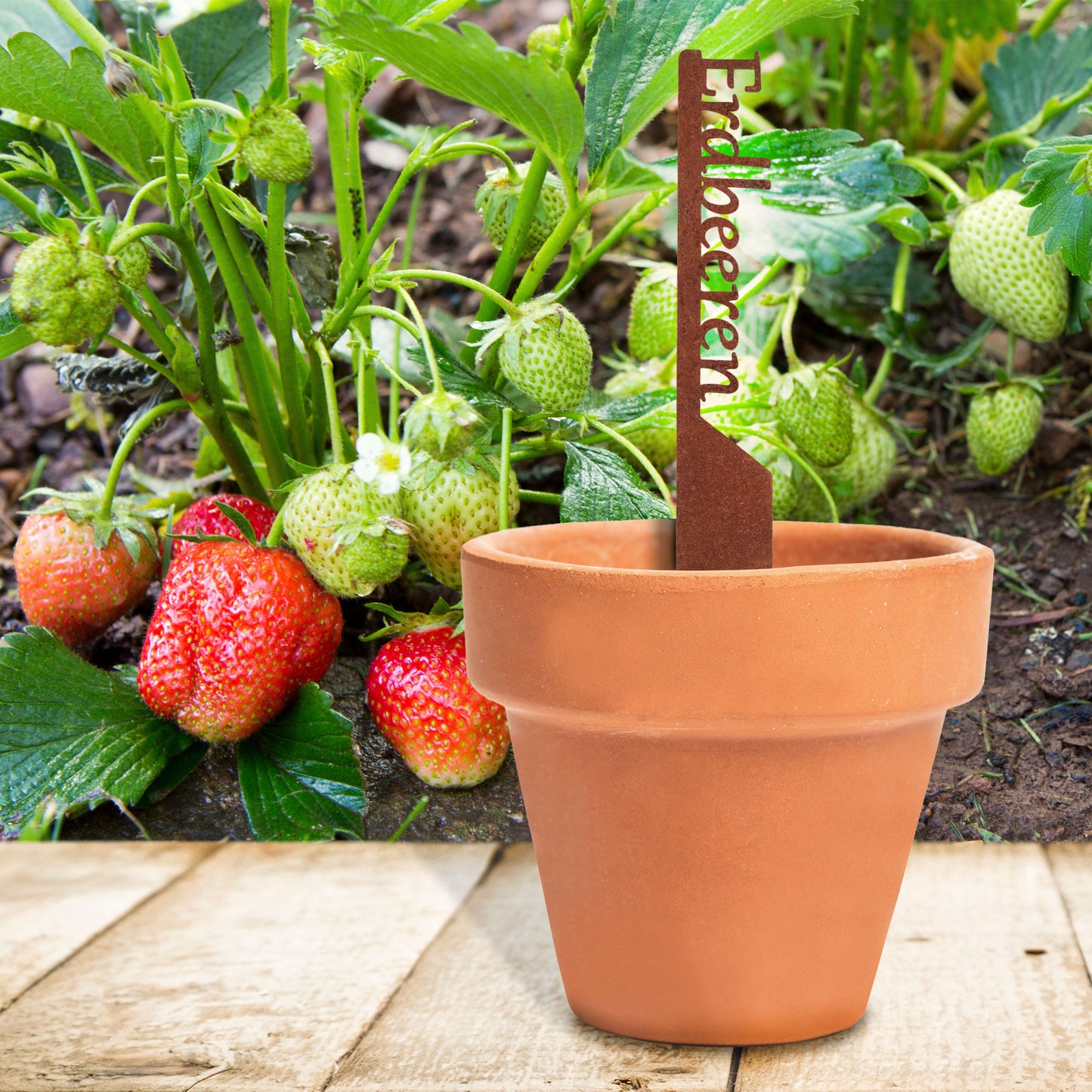 Pflanzenstecker „Erdbeere“ | Wetterfester Obststecker für Garten und Beet