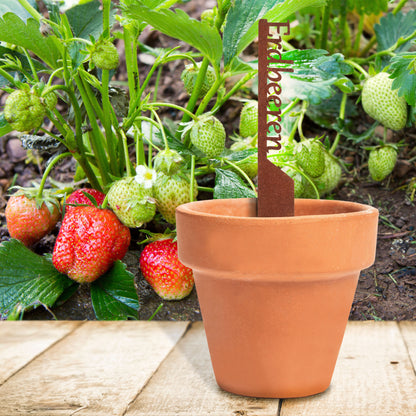 Pflanzenstecker „Erdbeere“ | Wetterfester Obststecker für Garten und Beet