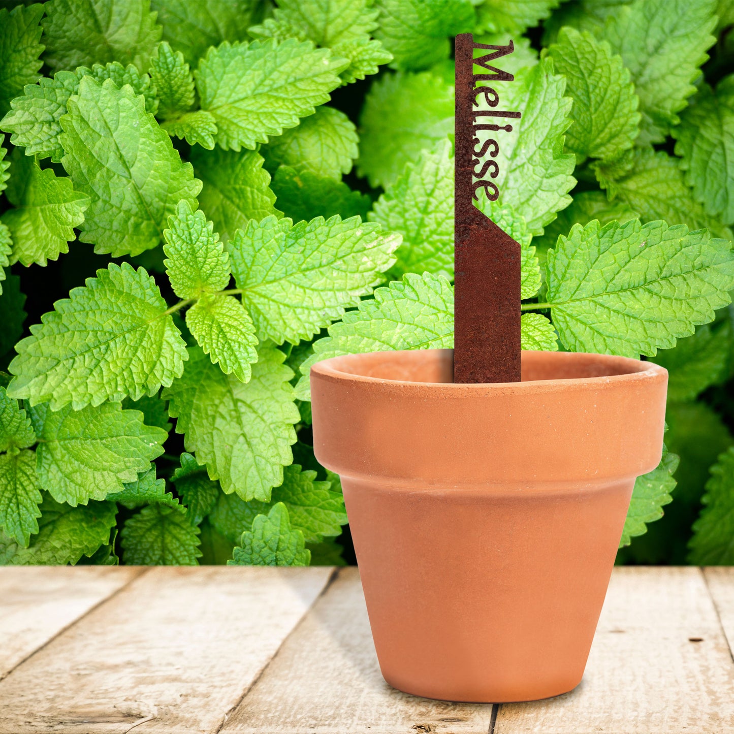 Pflanzenstecker „Melisse“ | Wetterfester Kräuterstecker für Garten und Beet